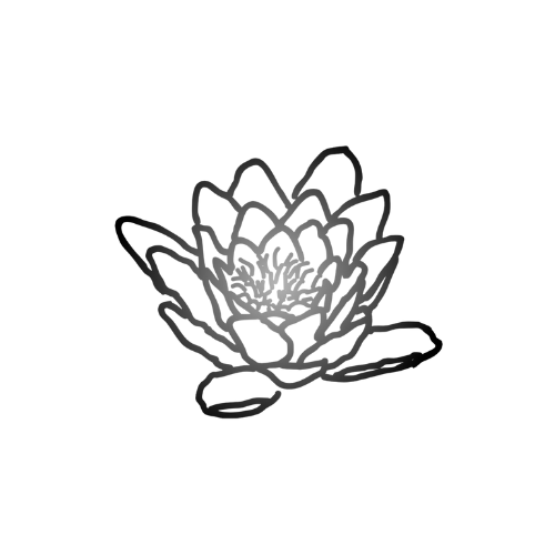 Lotus Flower